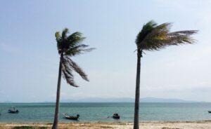 Idalia toca tierra en Florida, se esperan pérdidas de hasta 15,000 mdd