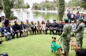 Nuevo esquema nacional promueve medidas contra abuso animal