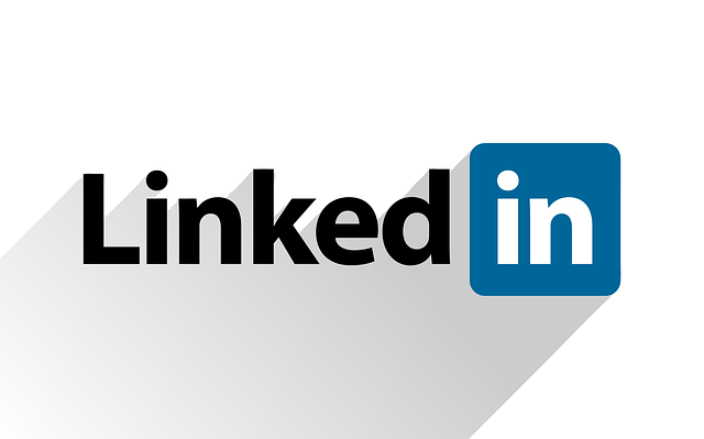 LinkedIn-usuarios