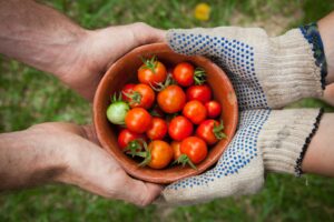 Exportaciones del agro baten récord con 14 años al alza