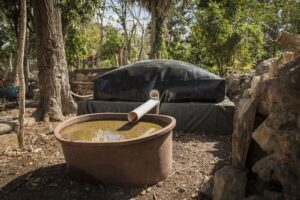 Sistema.bio: 14 años transformando la agricultura a favor del medio ambiente