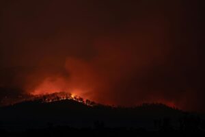 Los incendios forestales en Europa en 2023 fueron de los peores de este siglo