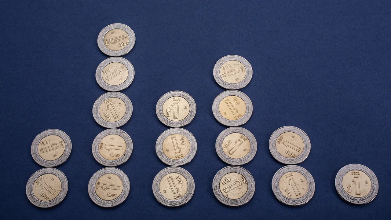 Pesos Peso Economía