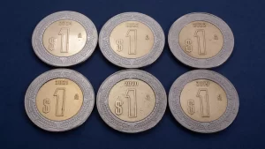 FMI Pesos Peso Economía