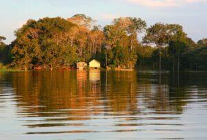 Amazon y varias empresas comprarán 180 mmd en créditos de carbono para conservar selva