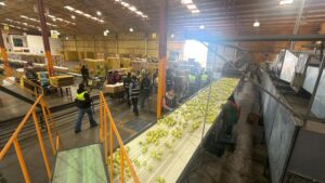 Manzanas El Indio renueva su modelo de negocio y acelera su expansión nacional