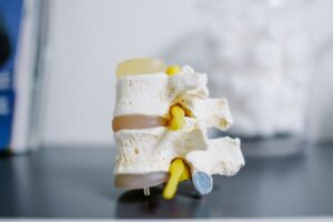 Sedentarismo y sus Consecuencias en la Columna Vertebral y la Cadera