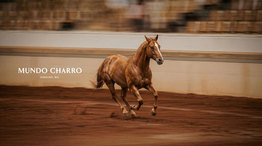 Mundo Charro