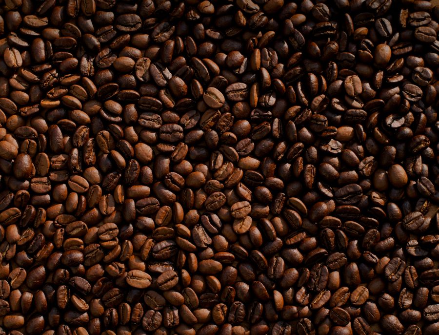 Gobierno lanza acuerdo para que cooperativas abastezcan de café a dependencias federales