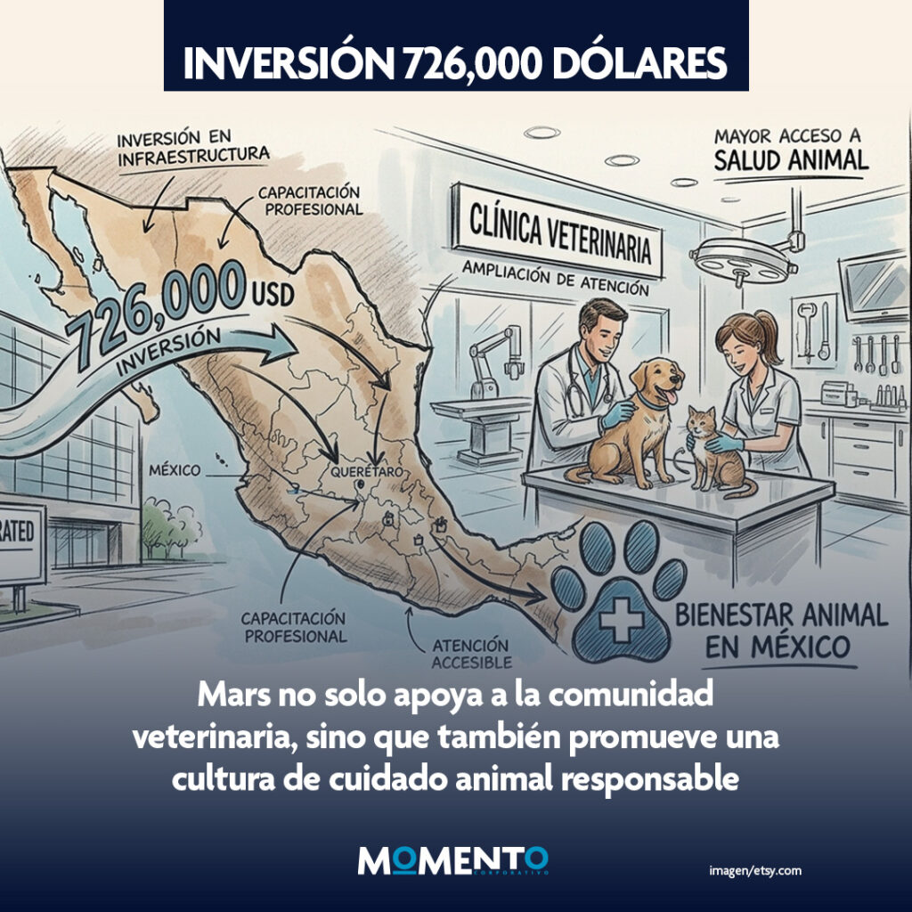 Instagram post from momentocorporativo_. This post is in position 4.