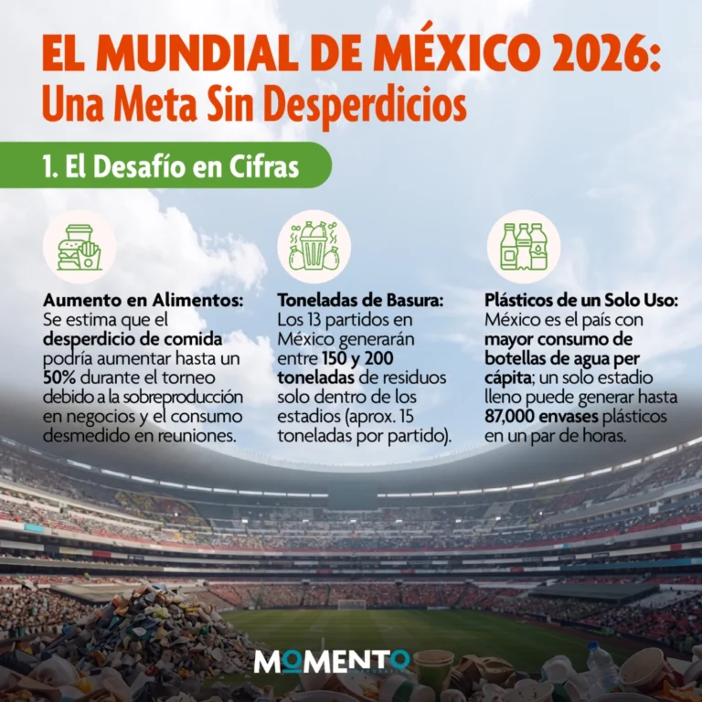 Instagram post from momentocorporativo_. This post is in position 0.